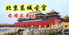 黄片午夜影院坠落的女大学生中国北京-东城古宫旅游风景区